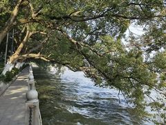 -南昌青山湖风景区