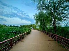 -绿堤公园