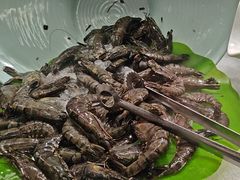 -四囍码头海鲜烧烤自助火锅(外滩南京东路悦荟广场店)