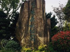 -昆山城市生态森林公园