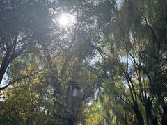 -迎泽公园