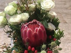 -花到家(富贵鸟花艺行)