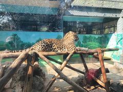 -昆明动物园