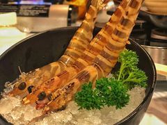 -鲜入围煮花胶鸡海鲜火锅