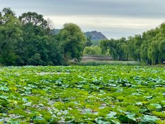 -承德避暑山庄景区