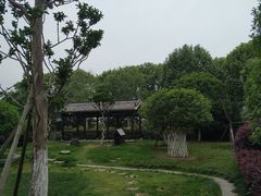 -武汉紫薇都市田园