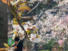 -杭州文化广播电视集团