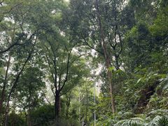 -火炉山森林公园