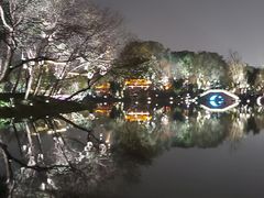 -北湖公园