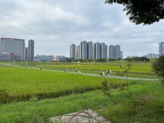 -光明小镇欢乐田园
