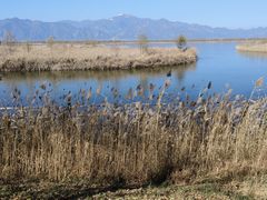 -野鸭湖国家湿地公园