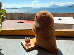 -Bella coffee(六月海店)