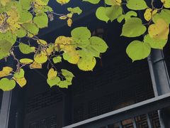 -阳明祠