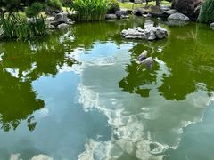 -盐城丹顶鹤湿地生态旅游区