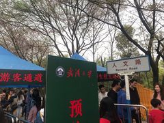 -武汉大学-樱园