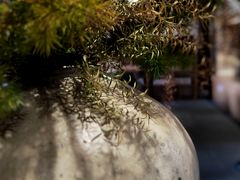 -我嘉书房(南翔名士居店)