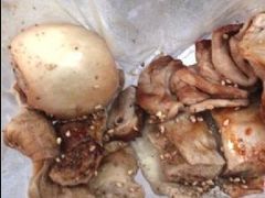 4-老王豆皮