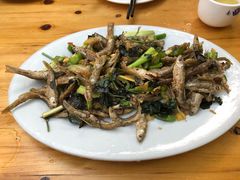 紫苏山坑鱼仔-竹庄餐馆·26年店(南昆山景区店)