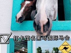 -华海酒店(茂名高铁站店)