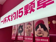 -K22.酸奶草莓(烟台芝罘店)