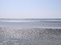 -江山半岛白浪滩景区