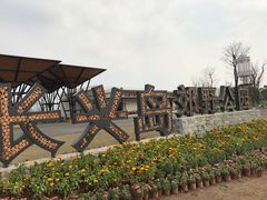 -上海长兴岛郊野公园