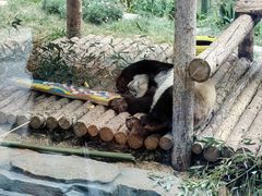 -大连森林动物园