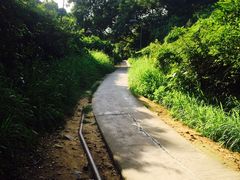 -南丫岛
