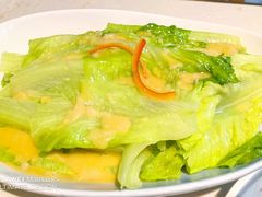 -点都德·毕德寮