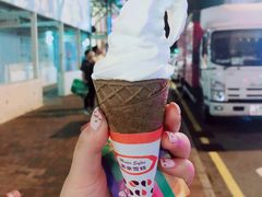 -富豪雪糕车流动点(尖沙咀店)