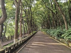 -上海市保健医疗中心