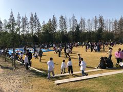 -前小桔亲子创意农场·草莓采摘·露营烧烤
