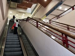 -香港大学