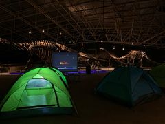 -世界恐龙谷景区