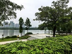 -飞来湖湿地公园