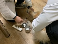 -派联宠物医院·24h·CT·异宠