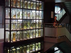 -广东中医药博物馆
