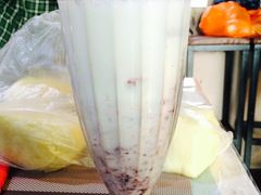 -世界昆虫与自然奇观博物馆