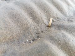 -南戴河国际娱乐中心