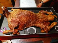 -九十九顶毡房(阜石路店)