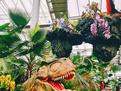 -沈阳植物园