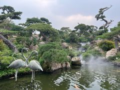 -罗红摄影艺术馆