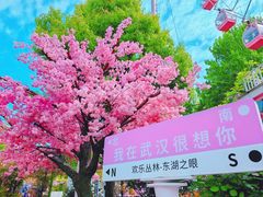 -东湖磨山景区