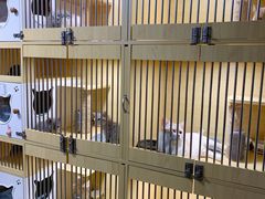 -猫宠乐园·专业洗护