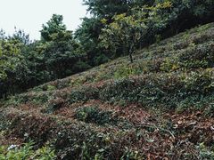 -九龙潭景区