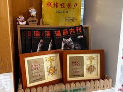 -爱侣宠医·鹦鹉专科·小型哺乳类·异宠专科(灵石路店)