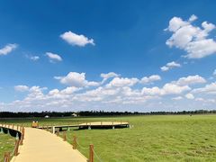 -苏泊罕大草原旅游景区