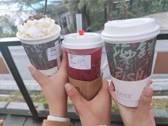 -茶颜悦色(岳麓山顶店)