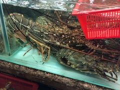 -班赞海鲜市场