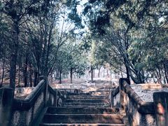 -鹫峰国家森林公园